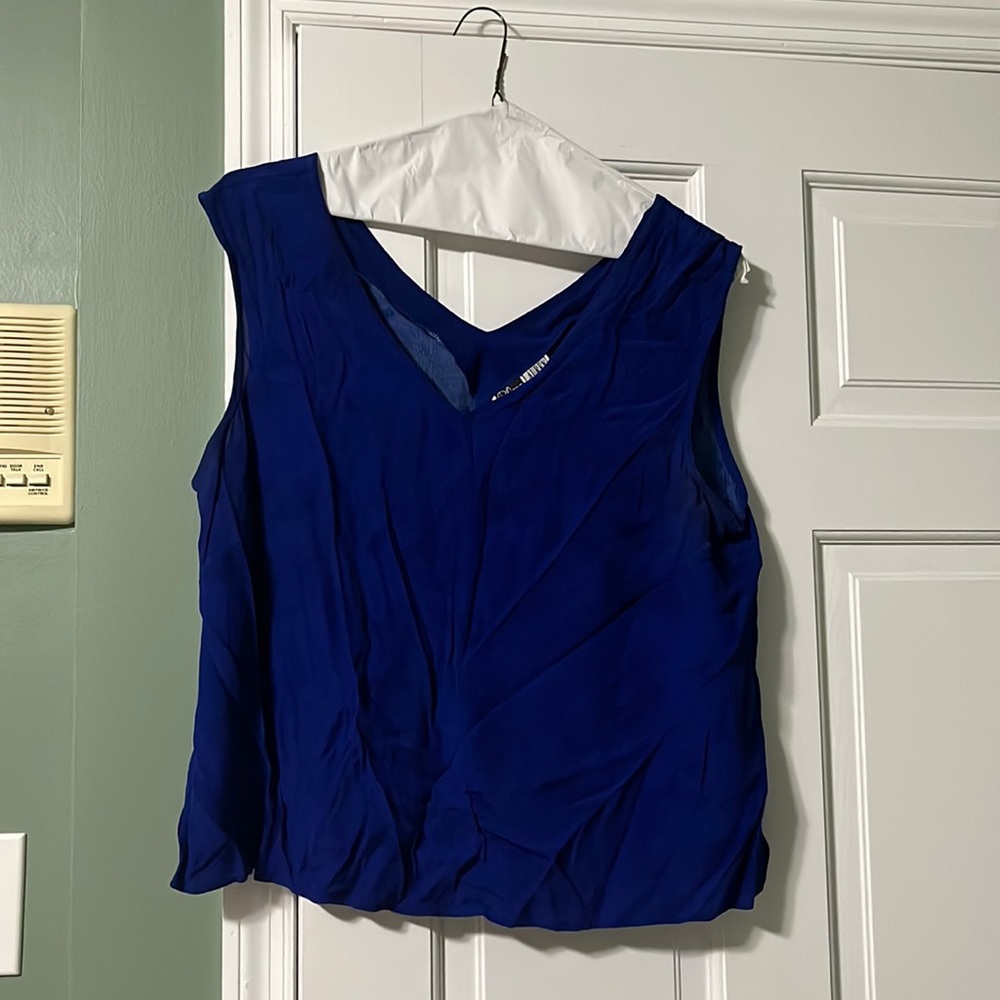 Vintage 90s Dena Lauren 100% rayon vibrant blue v neck top, 1X